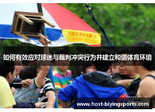 如何有效应对球迷与裁判冲突行为并建立和谐体育环境
