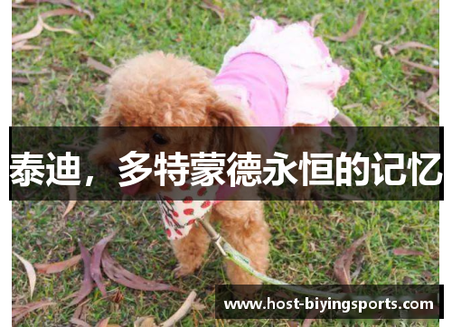 泰迪，多特蒙德永恒的记忆