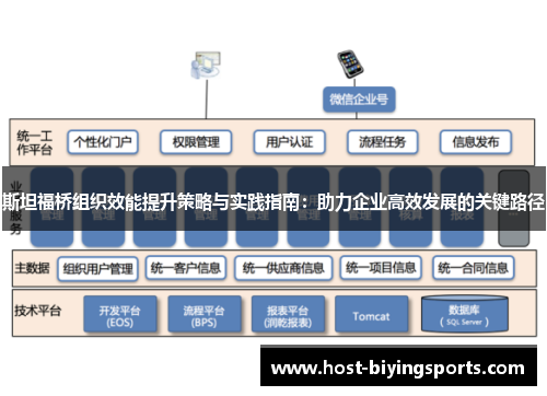 斯坦福桥组织效能提升策略与实践指南：助力企业高效发展的关键路径